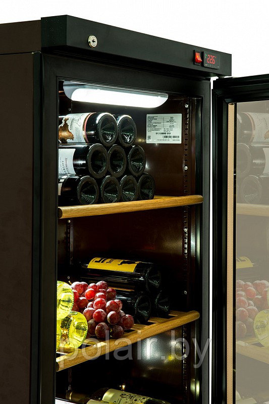 Холодильный шкаф DW104-Bravo POLAIR - фото 2 - id-p52228924