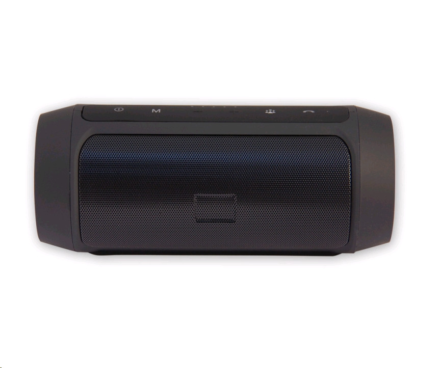SK1002BK черный Акустика Belsis