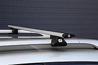 Багажник на крышу Amos ALFA c поперечинами Aero-Alfa на рейлинги