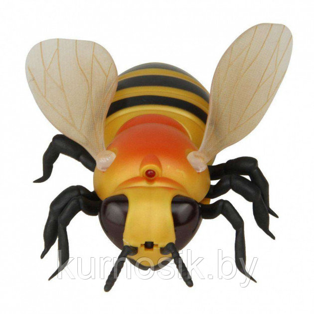 Насекомое Пчела на р/у (арт.9923) - фото 4 - id-p113131567