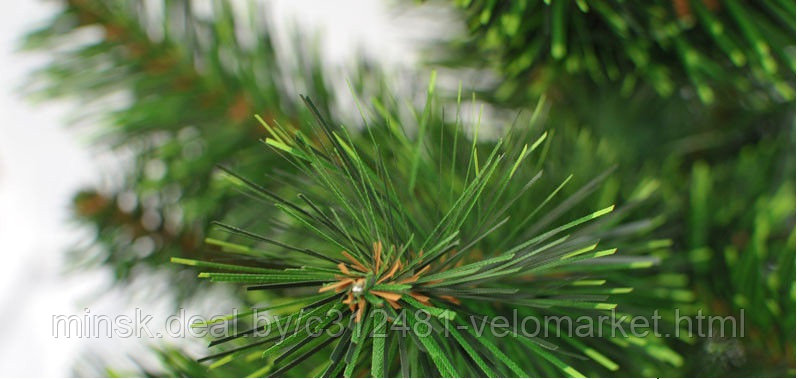Искусственная елка(ель) 1 м. GreenTerra с зелёными кончиками. - фото 4 - id-p113173292
