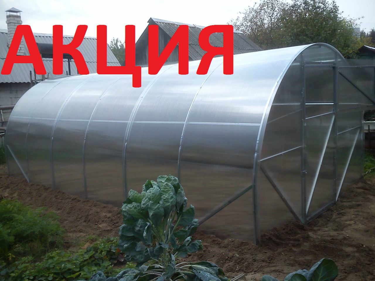 Промышленные Теплицы Поликарбоната Купить