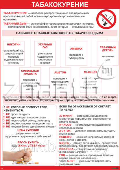 Плакат информационный Курение - фото 1 - id-p113207246