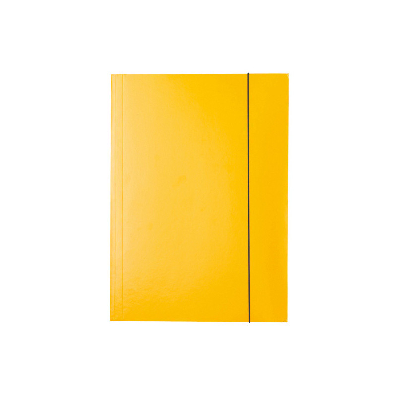 Папка на резинках ESSELTE, ф.А4, лакированный картон (400 г/м2), цвет желтый(работаем с юр лицами и ИП) - фото 1 - id-p113247291