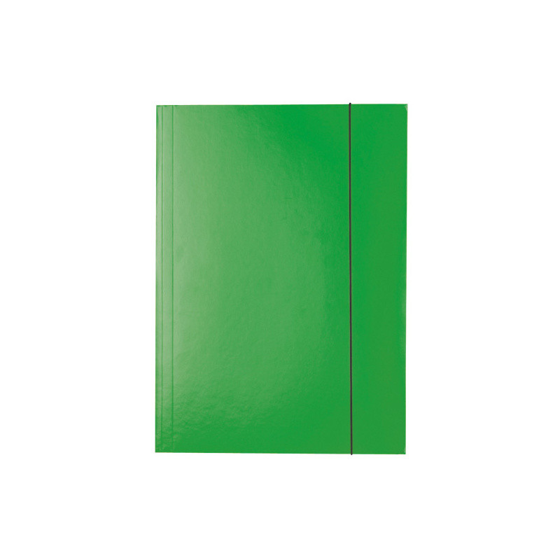 Папка на резинках ESSELTE, ф.А4, лакированный картон (400 г/м2), цвет зеленый(работаем с юр лицами и ИП) - фото 1 - id-p113247292