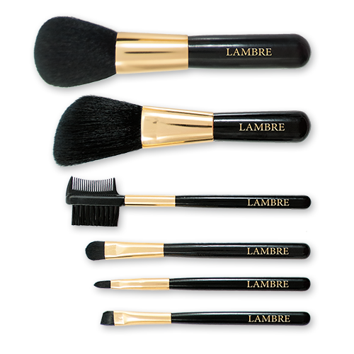 Набор из 6 кистей для макияжа в футляре BRUSH SET