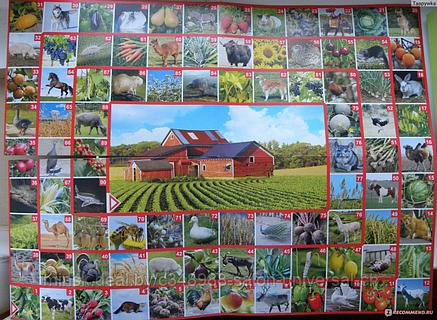 Настольная игра-ходилка ФотоВикторина "Ферма. Животные и растения" в коробке (Десятое Королевство), фото 2