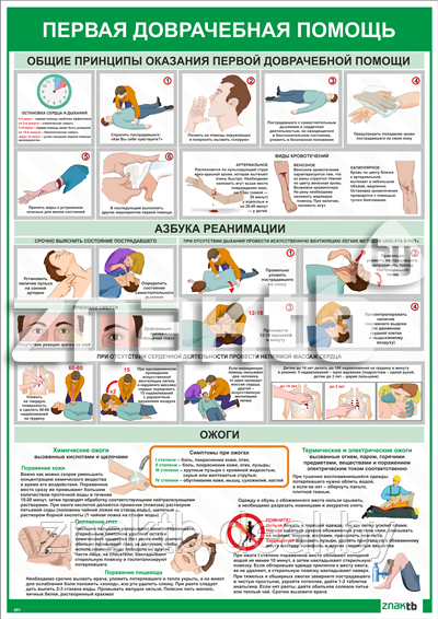 Плакат информационный Плакат Первая медицинская помощь - фото 1 - id-p113467544