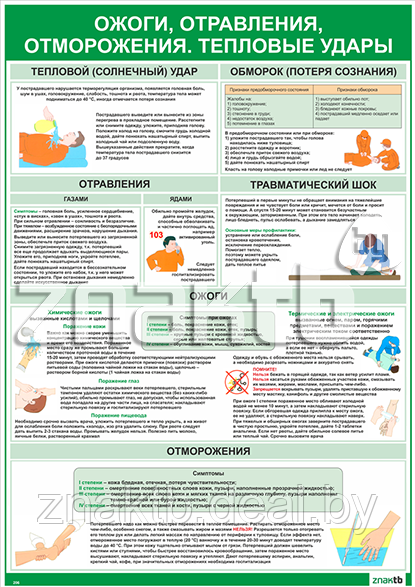 Плакат информационный Ожоги, отравления, отморожения - фото 1 - id-p113467769