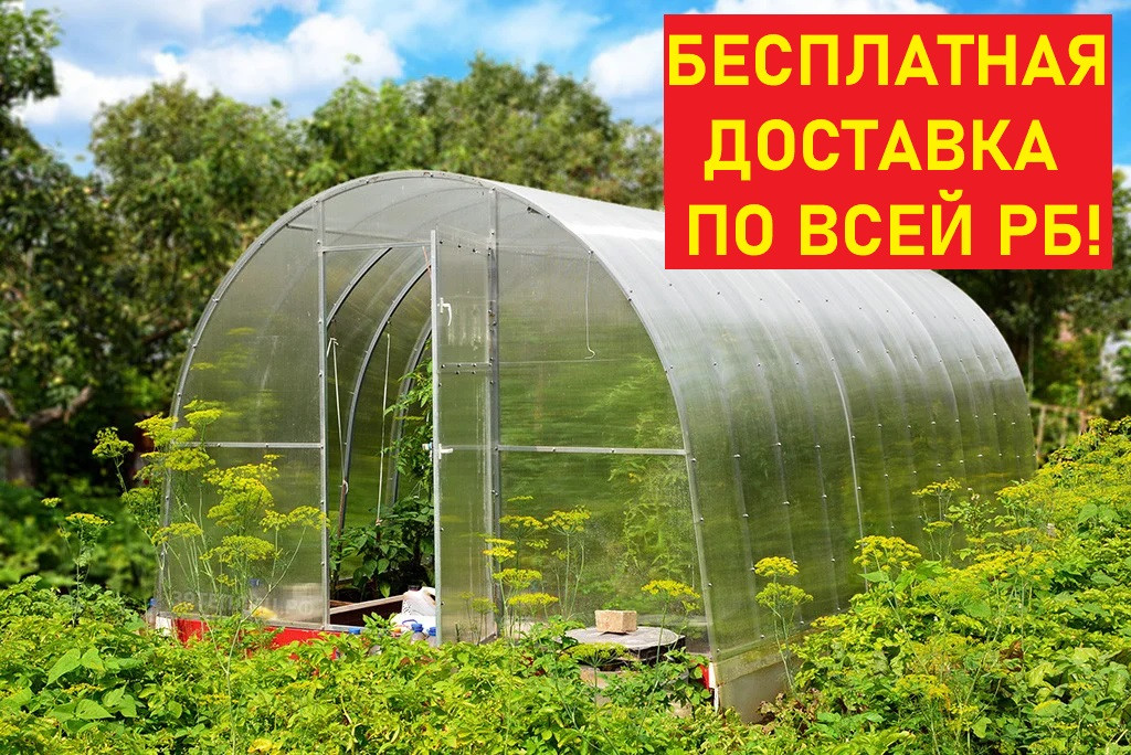 Теплица из поликарбоната Сибирская 40-1. Длина 4/6/8/10 метров