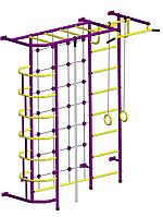 Детский спортивный комплекс "Пионер-С5С М"