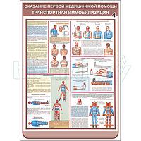 Плакат оказание первой медицинской помощи транспортная иммобилизация