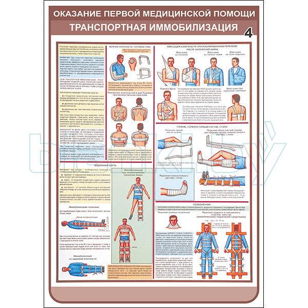 Плакат оказание первой медицинской помощи транспортная иммобилизация - фото 1 - id-p113414362