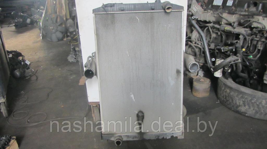 Радиатор (основной) Iveco Stralis - фото 1 - id-p113605281