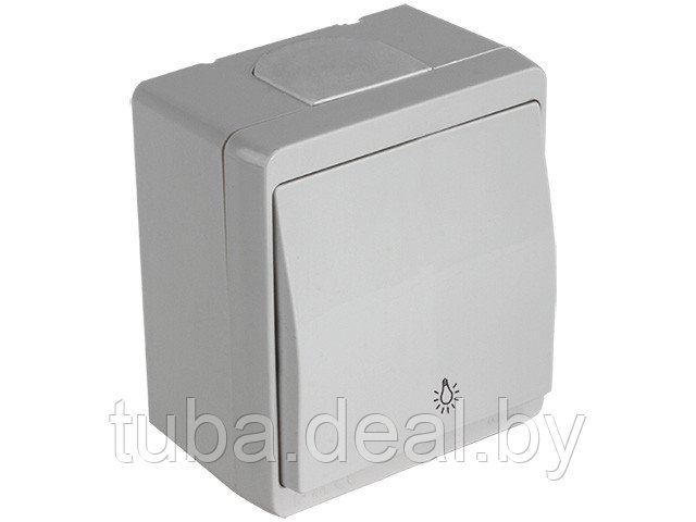 Выключатель кнопочный (открытый) серый, NEMLIYER, MUTLUSAN (10 A, 250 V, IP 44) - фото 1 - id-p113621464