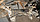 Балка подвески передняя (подрамник) к Фольксваген Гольф 4, 1.4 бензин, 2000 год, фото 2
