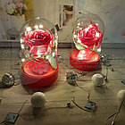 Сувенир-светильник в колбе с подсветкой. Оригинальный подарок Роза, фото 8