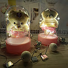 Сувенир-светильник в колбе с подсветкой. Оригинальный подарок Роза, фото 9