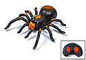 Радиоуправляемый паук Тарантул 58620, фото 2