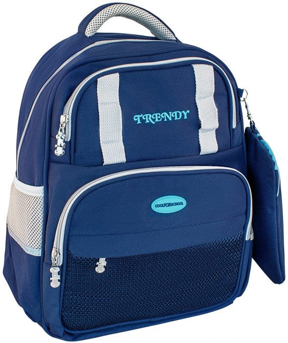 Рюкзак школьный CFS Trendy Royal blue (Цена с НДС)