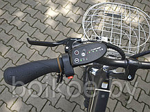 Электровелосипед E-Motion Datsha 4 two 500W, фото 3