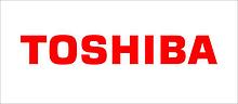 Завесы петли Toshiba