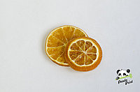 Апельсин декоративный, 2 шт, фото 1