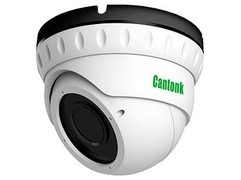 Купольная IP-камера IPSHR30HL200