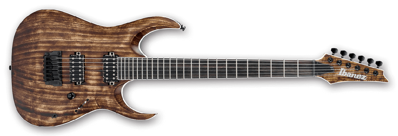 Ibanez RGA Iron Label RGAIX6U ABS