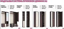 Двухстворчатый шкаф Домино (2 варианта цвета) МК Стиль, фото 3