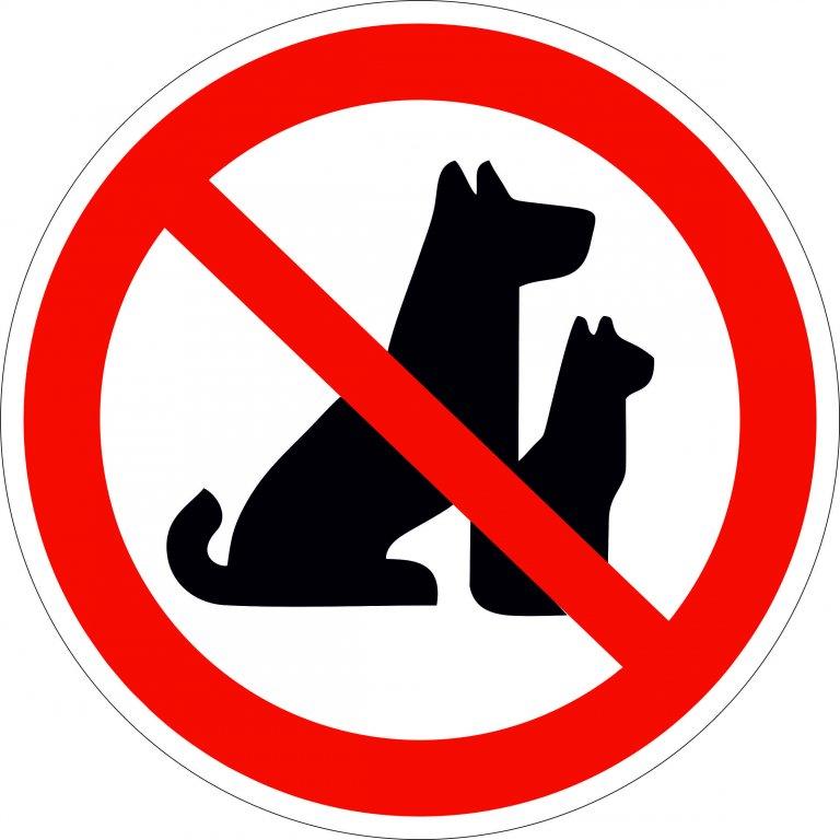 Наклейка запрещающий знак большой "С животными вход запрещен" 300*150 мм