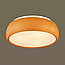 Потолочный оранжевый светильник LUMION 4414/3C Timo, фото 2