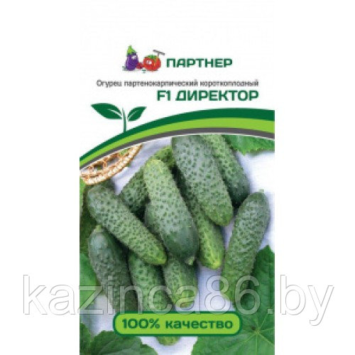 Огурец Директор F1