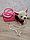 Игрушка Музыкальная собачка  ЧИЧИ-ЛАВ (CHI-CHI LOVE) с сумочкой  переноской, фото 10