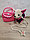 Игрушка Музыкальная собачка  ЧИЧИ-ЛАВ (CHI-CHI LOVE) с сумочкой  переноской, фото 9