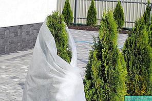 Спанбонд 60 белый ширина 4,2 метра/любой метраж (СУФ), фото 2