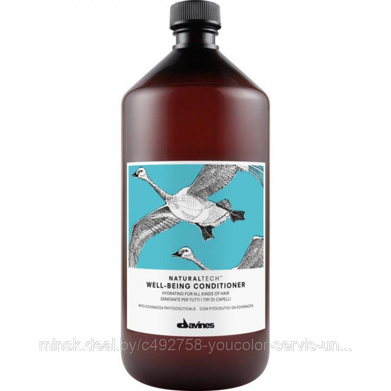 Davines УВЛАЖНЯЮЩИЙ КОНДИЦИОНЕР ДЛЯ ЗДОРОВЬЯ ВОЛОС WELL-BEING 1000 мл