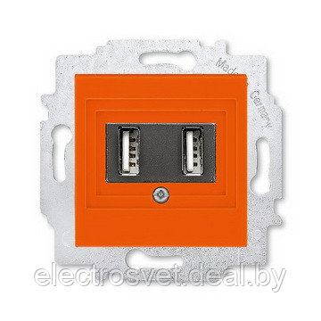 Розетка зарядное устройство USB, 1400 мA оранжевая ABB Levit - фото 1 - id-p114315213
