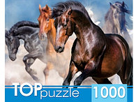 TOPpuzzle. ПАЗЛЫ 1000 элементов. Табун скакунов