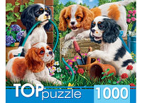 TOPpuzzle. ПАЗЛЫ 1000 элементов.Озорные щенки спаниелей