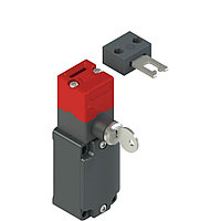 FD 2899-F2GM2 Pizzato Elettrica Защитный выключатель с замком и отдельным актуатором