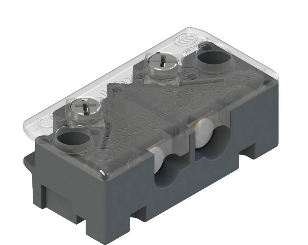 DS AE1VA Pizzato Elettrica Дверные выключатели с внутренними контактами