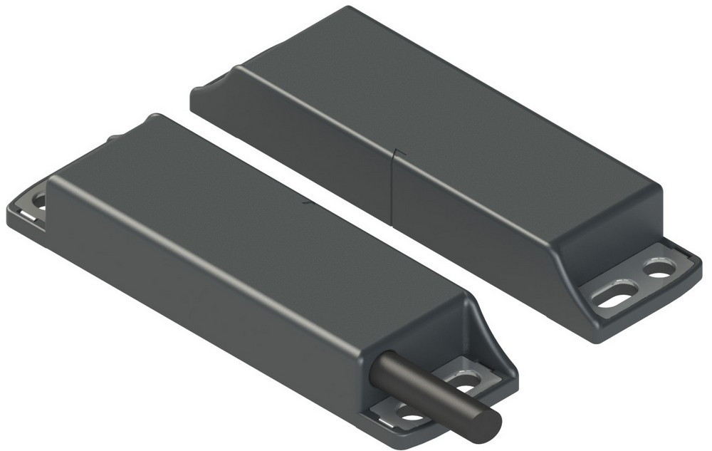 SR BD42AN2-B02F Pizzato Elettrica Магнитный защитный датчик в комплекте с приводом