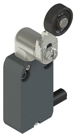 NF B112KG-DN10 Pizzato Elettrica Модульный выключатель со встроенным кабелем с регулируемым металлическим поворотным рычагом, фото 2