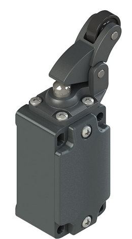 FD E105-M2 Pizzato Elettrica Конечный выключатель с односторонним роликом, фото 2