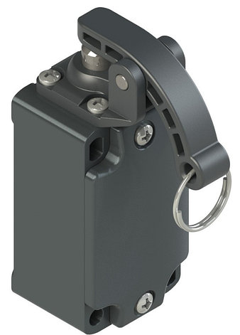 FD 2209-M2 Pizzato Elettrica Позиционный выключатель, фото 2