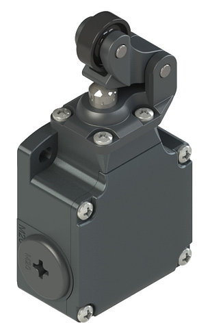 FL 1302 Pizzato Elettrica Конечный выключатель с односторонним роликом, фото 2