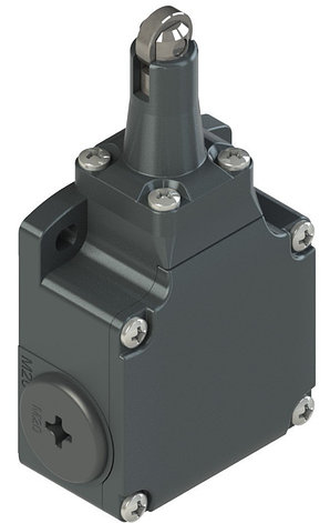 FL 1216-M2 Pizzato Elettrica Конечный выключатель с роликом и штоком из нержавеющей стали, фото 2