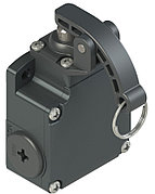 FL 1209-M2 Pizzato Elettrica Позиционный выключатель