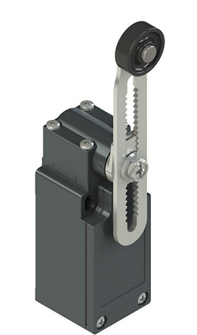 FM 1256-K50 Pizzato Elettrica Конечный выключатель с регулируемым роликовым рычагом, фото 2